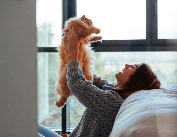 Play with cat
