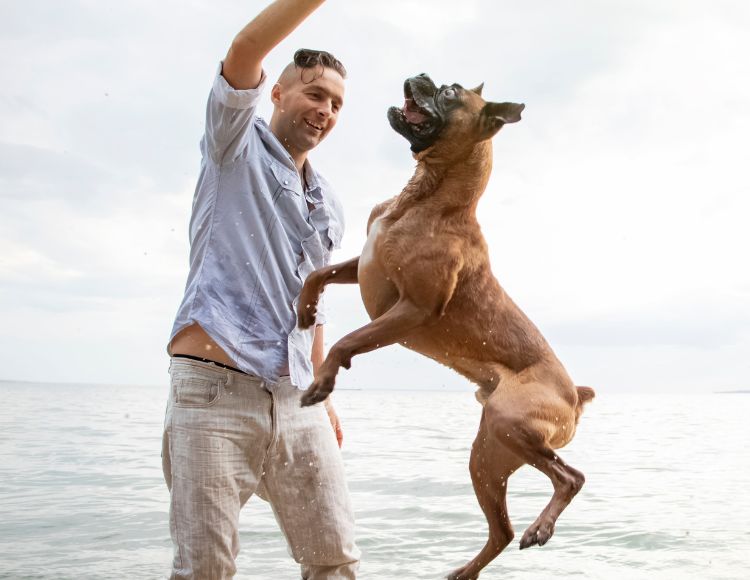 Curiosity Nature of Dogs 