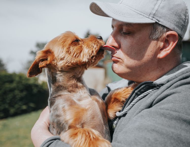 Human-Dog Relationship