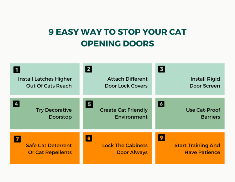 9 Easy Way To Stop Your Cat Opening Doors
