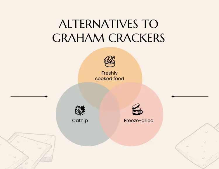 Alternatives to Graham crackers