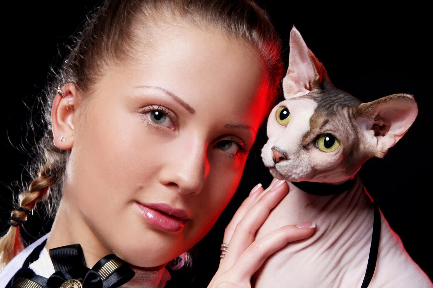 cat vs human eye