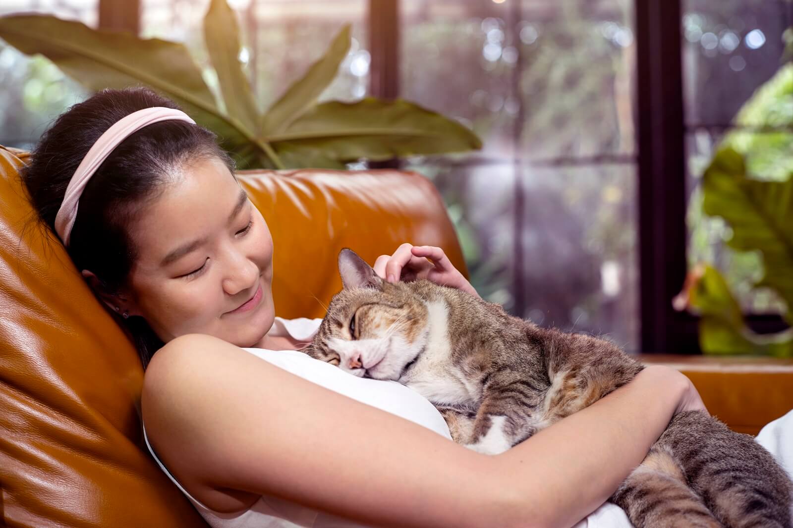 Why Do Cats Lay On Your Chest? - PetWellClinic