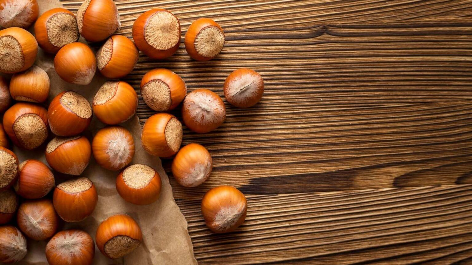 Can Dogs Eat Chestnuts? The Fit Pets