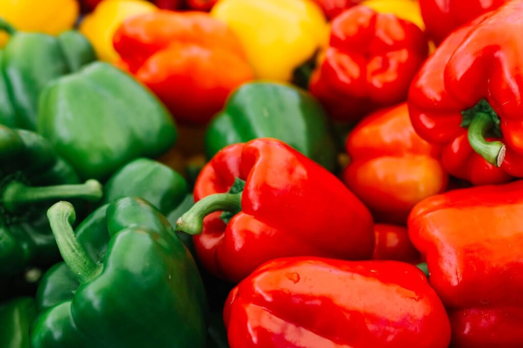 Can Dogs Eat Bell Peppers And How Safe Are They? The Fit Pets