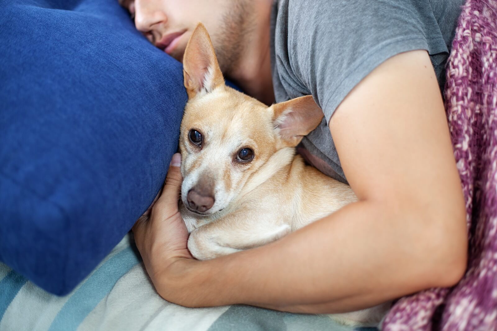dog-sleep-close-to-me