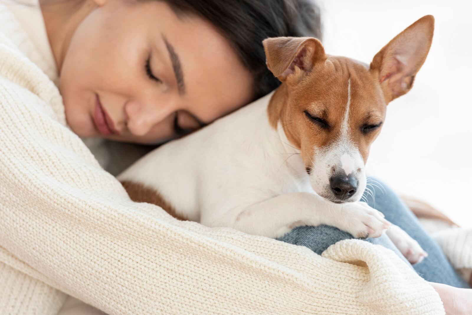 dog-sleeping
