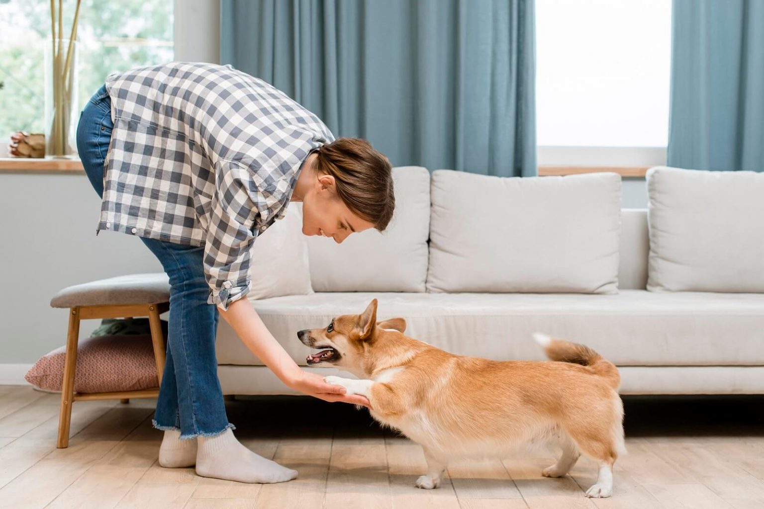 11 Reasons Why Your Dog Licks Your Legs - The Fit Pets