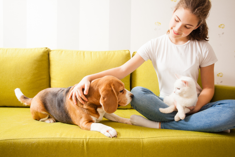 Why Do Cats Hate Dogs Myths Debunked The Fit Pets Why do cats hate dogs myths debunked the fit pets