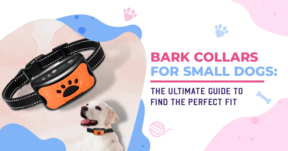 Bark Collars for Small Dogs: The Ultimate Guide to Find The Perfect Fit