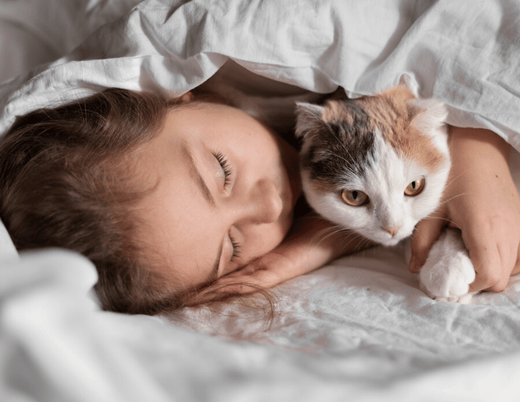 Improve Sleep Quality when My Cat Sleep Above My Head Improve Sleep Quality when My Cat Sleep Above My Head