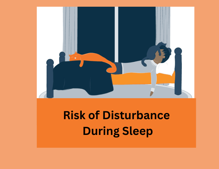 Risk of Disturbance During Sleep Risk of Disturbance During Sleep