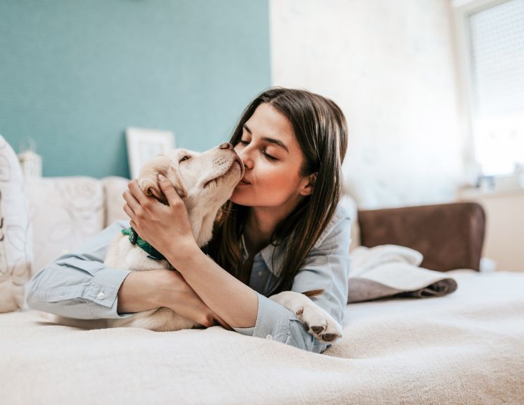 Quality Time with Your Dog For Take care Quality Time with Your Dog For Take care