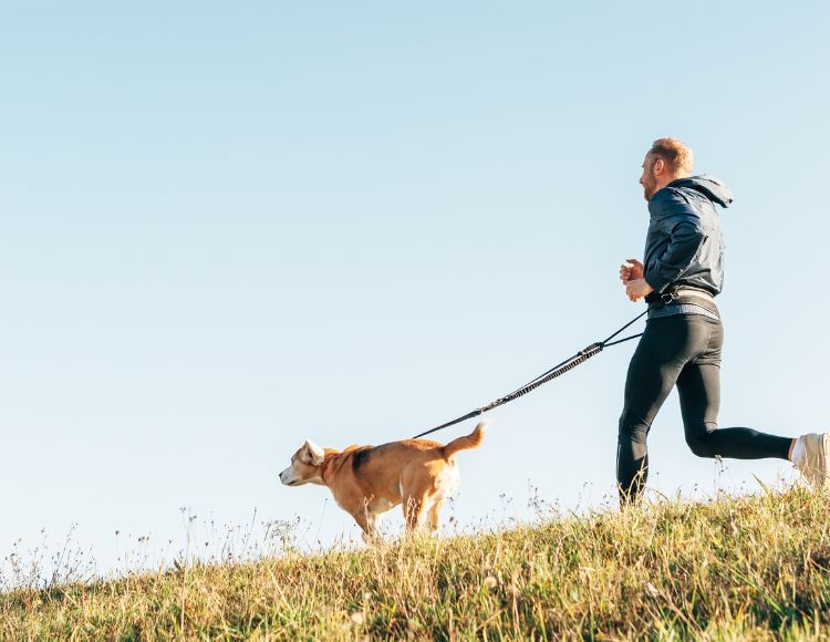 Regular Exercise Routine for dog Regular Exercise Routine for dog