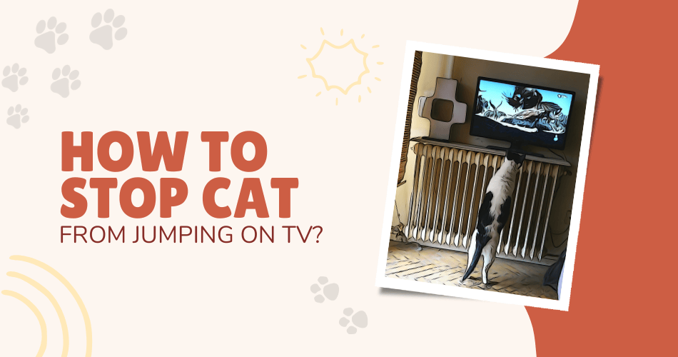 how to stop cat from jumping on tv