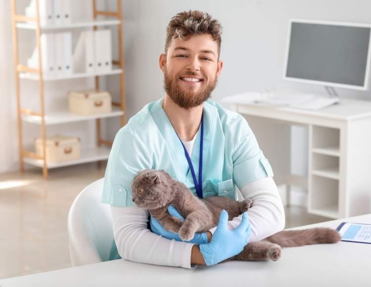 How to Stop Cat from Jumping on Bed at Night The Fit Pets