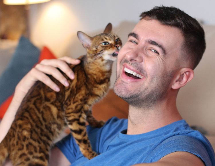 Why Does My Cat Lick Me When I Pet Her? The Fit Pets