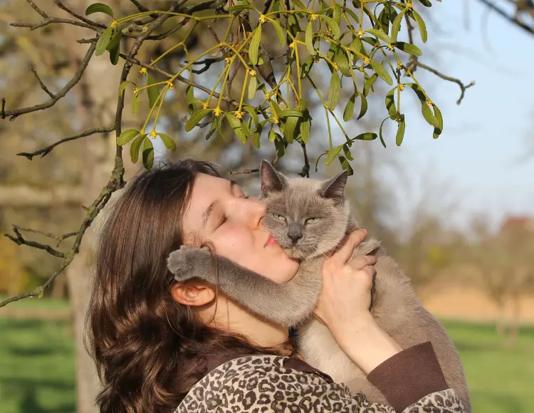 Cat Communicating with You