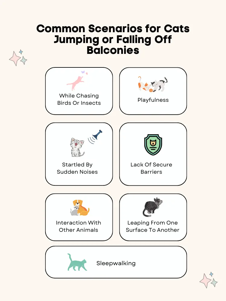 Common Scenarios for Cats Jumping or Falling Off Balconies