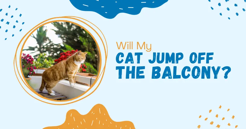 Will My Cat Jump Off The Balcony