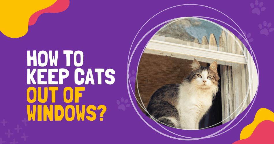 How To Keep Cats Out Of Windows