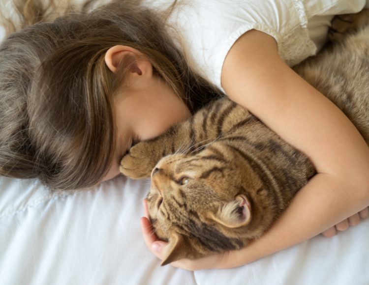 better sleep with cat