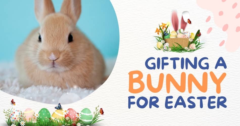 Gifting a Bunny for Easter