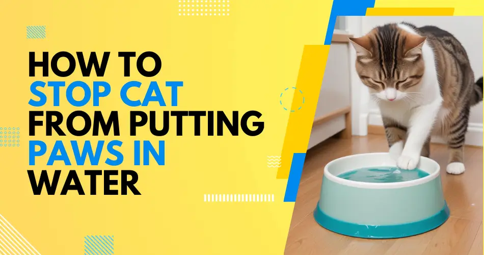 how to stop cat from putting paws in water