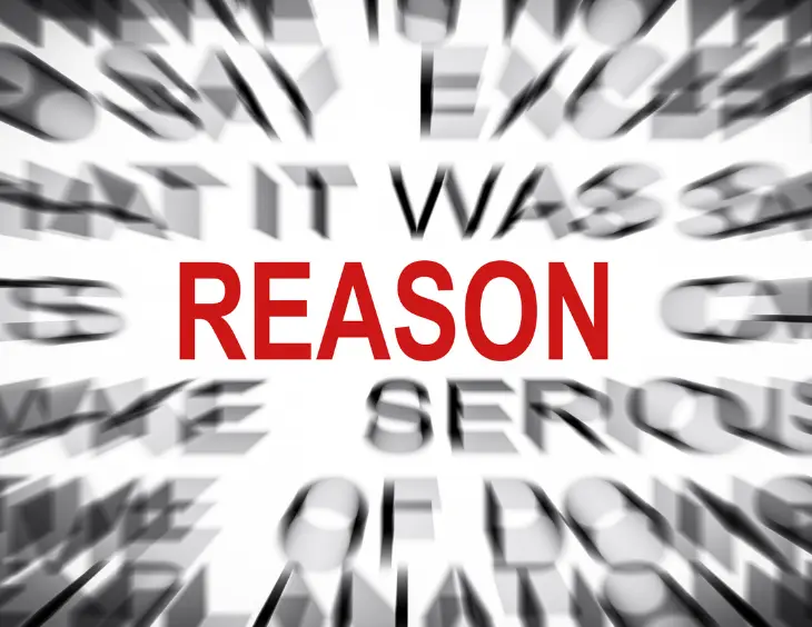 Reasons Behind a Dog’s Escape