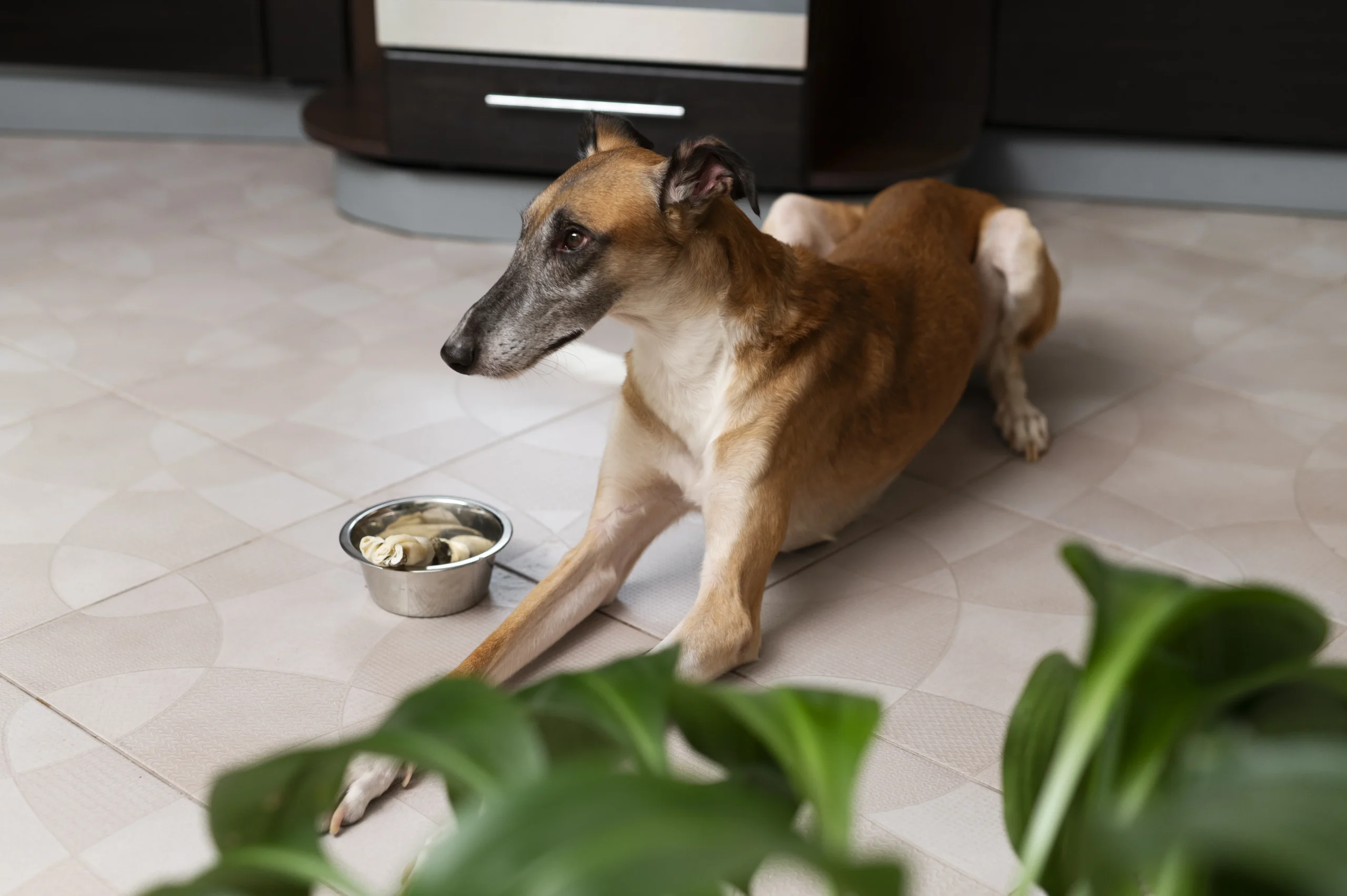 symptoms of lost appetite