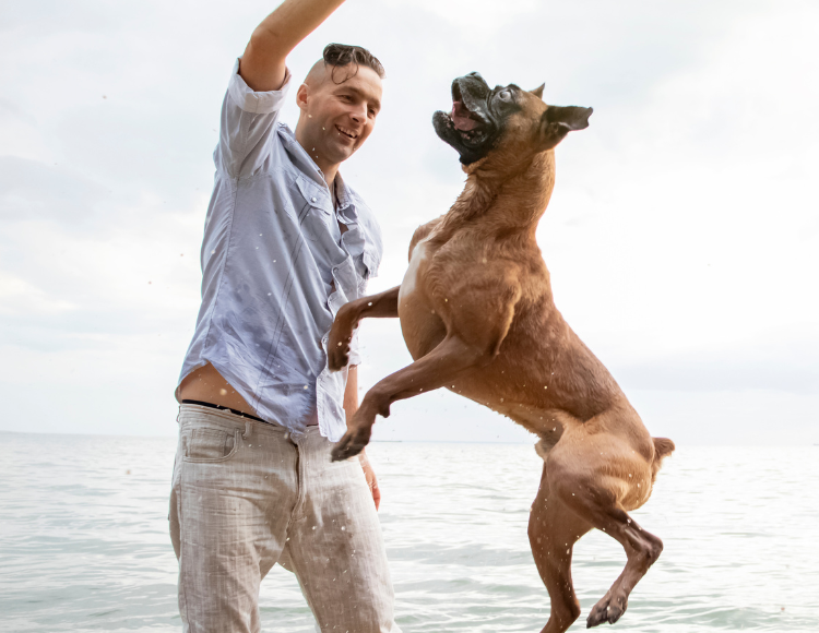 Keep calm in front of dog